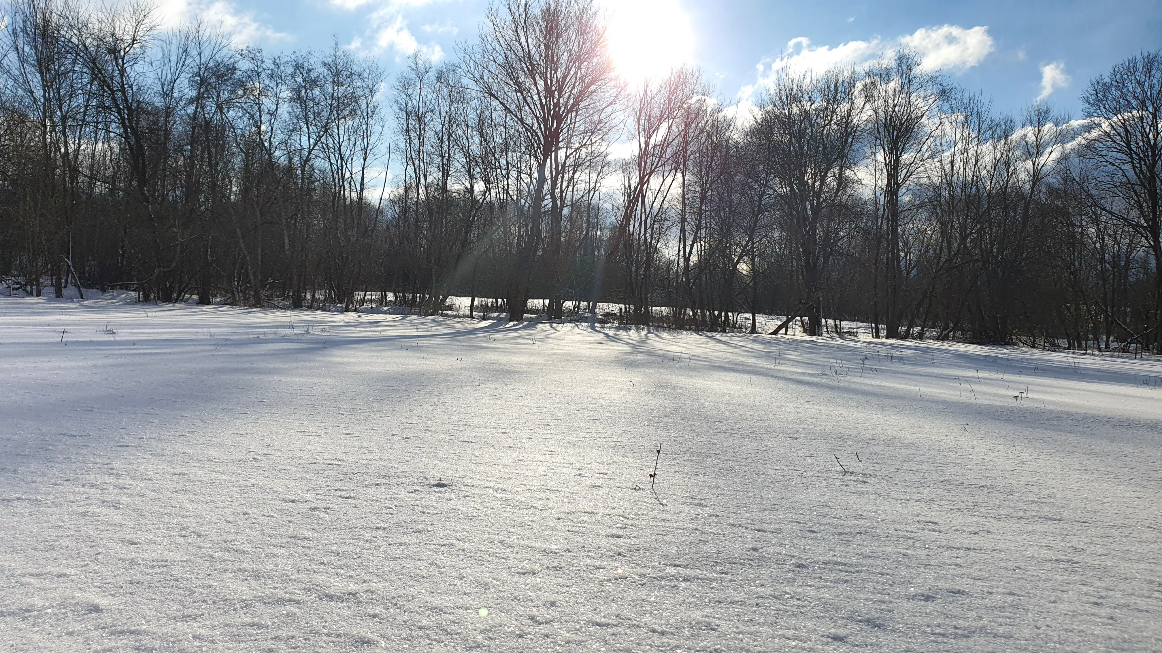 Candidate for Winter 1.